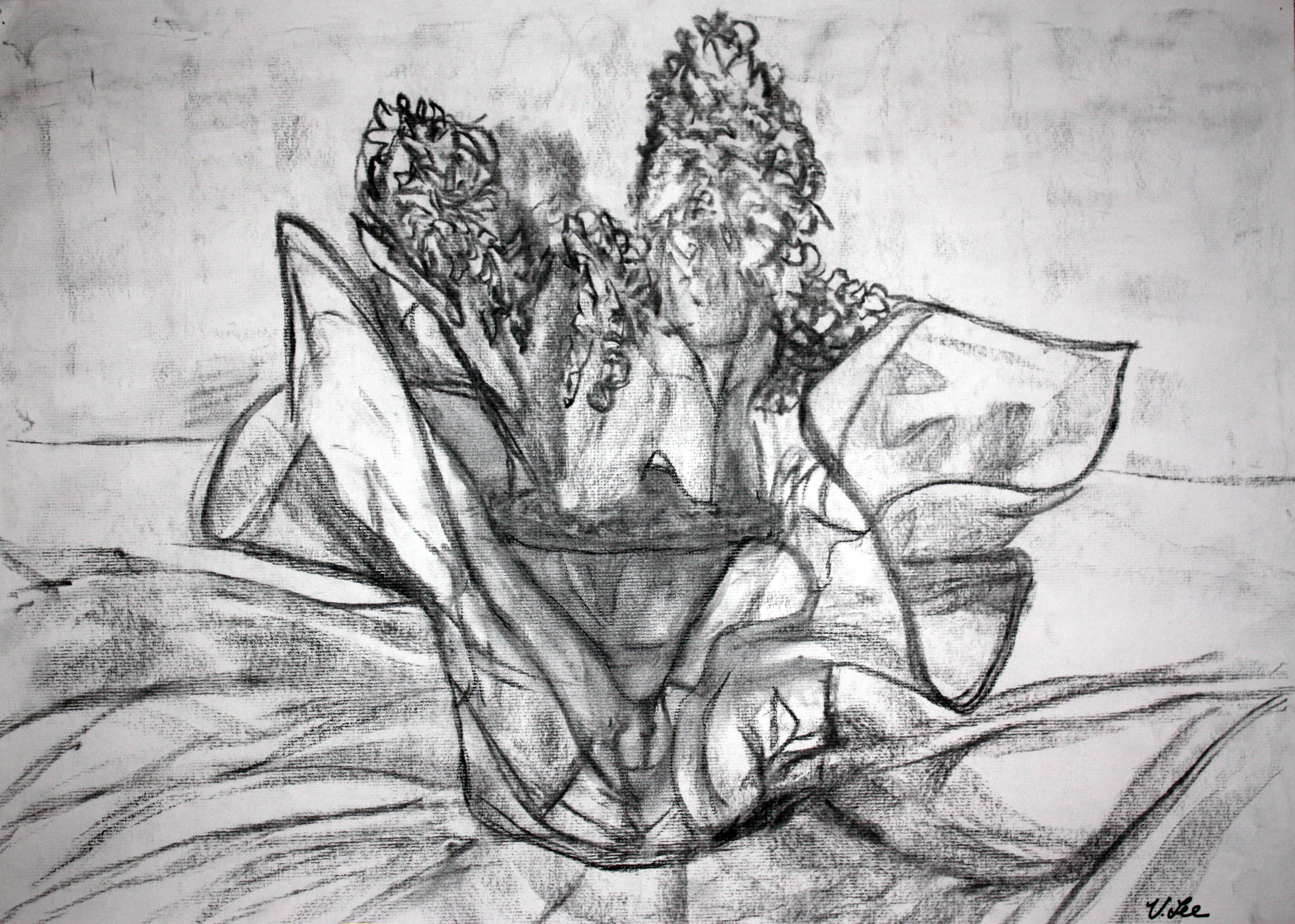 Valerie Lee Artist - Heights of Hyancith