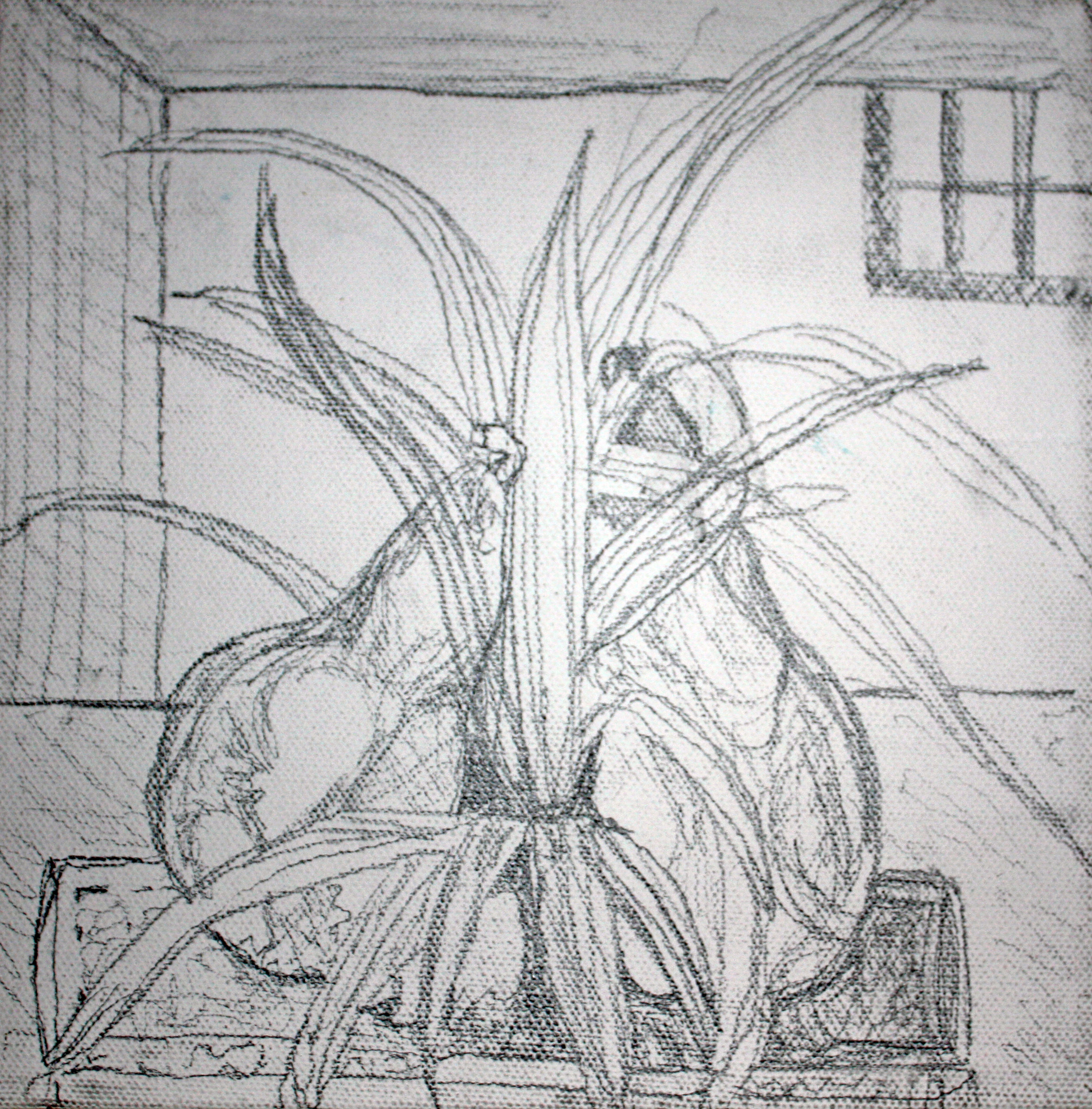 Valerie Lee Artist - Palms and Pears with Tinge of Green