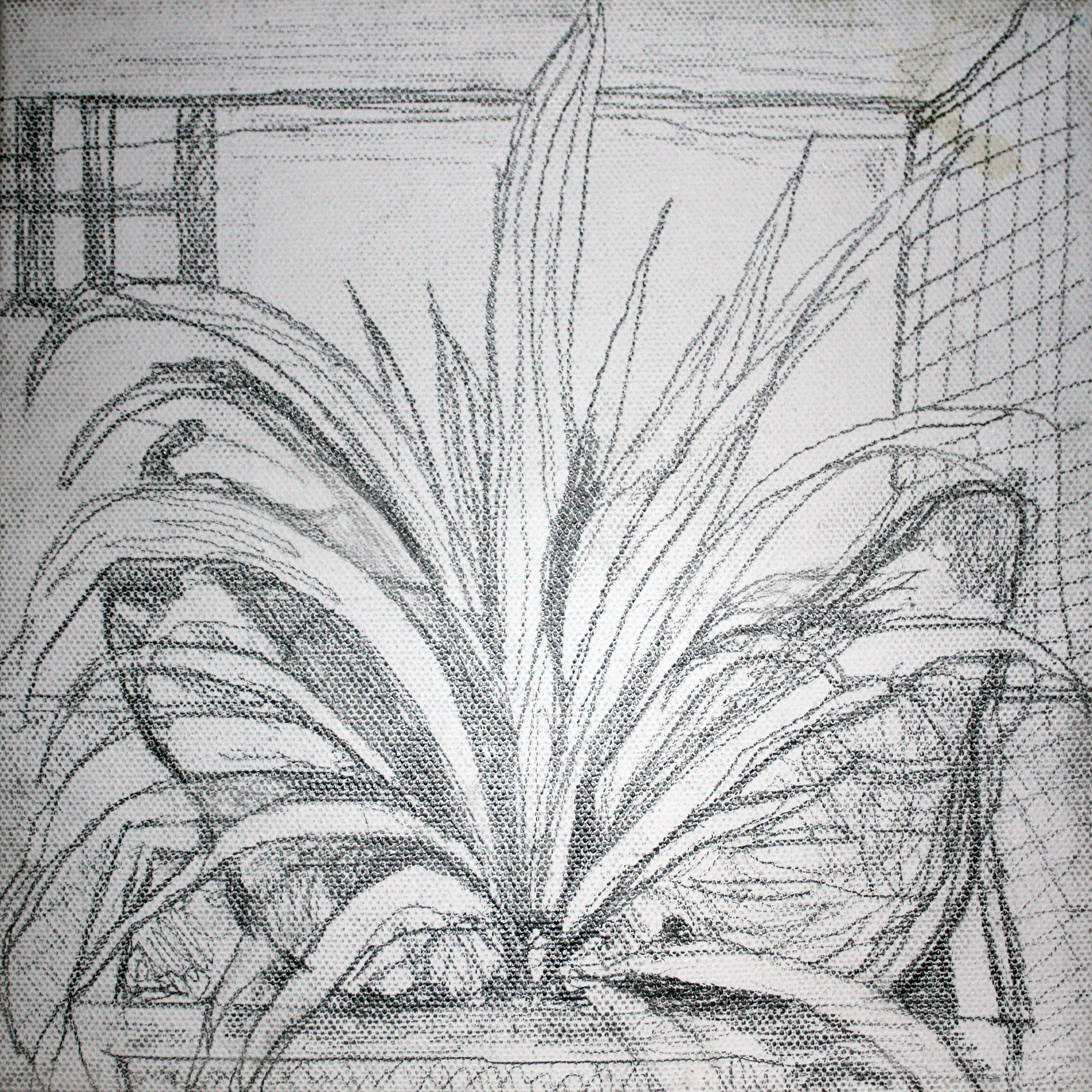 Valerie Lee Artist - Palms and Pears with Tinge of Red