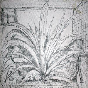 Valerie Lee Artist - Palms and Pears with Tinge of Red