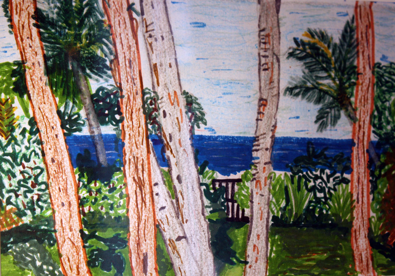 Veil of Palms, North Shore, Oahu by Valerie Lee